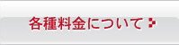 各種料金について