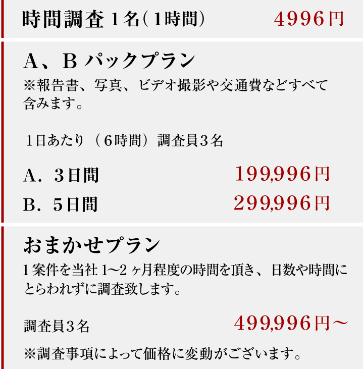 素行調査 1時間 調査員1名 4,996円、1日あたり(8時間) 調査員3名 99,996円、