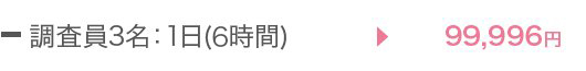 調査員1名：1日(12時間)→\49,996