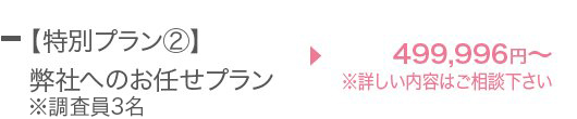 【特別プラン②】弊社へのお任せプラン→\499,996?※詳しい内容はご相談下さい